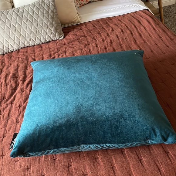 21x20 down filled for active pillow. Like new. Jade colored - Picture 4 of 5